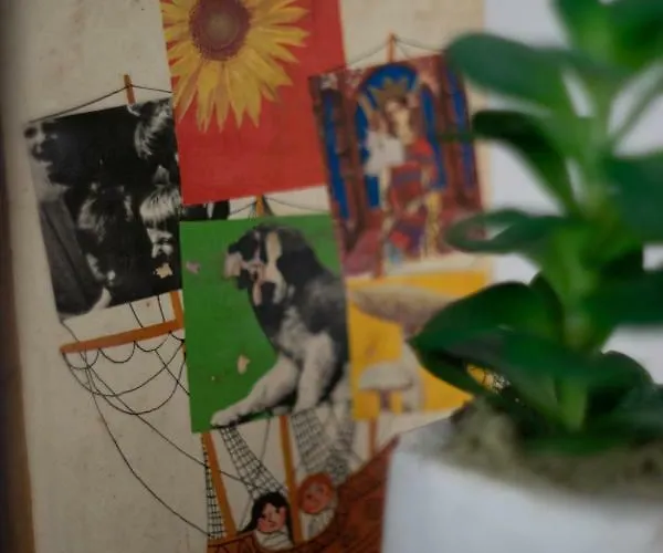 Pensiune Servus Vendeghaz